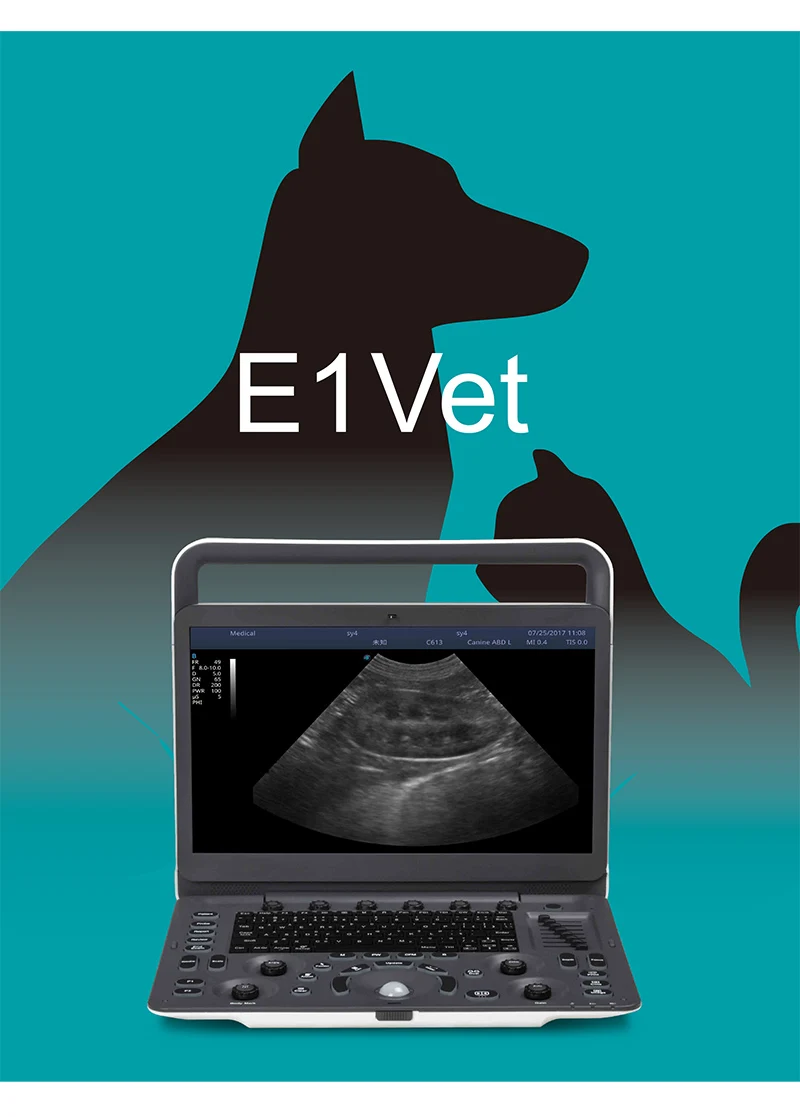 Sonoscape E1V Ecografo Veterinary Diagnostic Equipment Veterinary Equipment Ultrasound