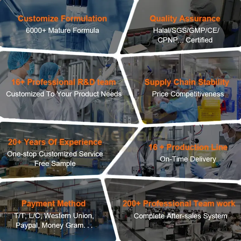 Private Label Custom Non-stick Cup Matte Velvet Lipstick Natural Moisturizing Waterproof Long Lastingg Vegan Halal Lipstick